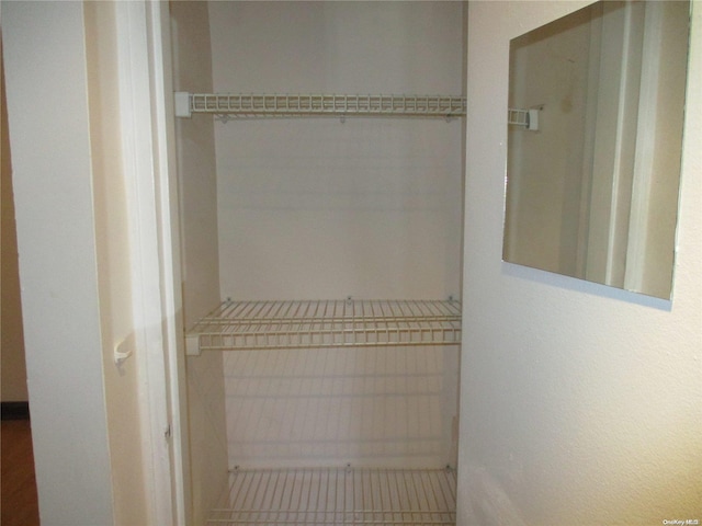 view of closet