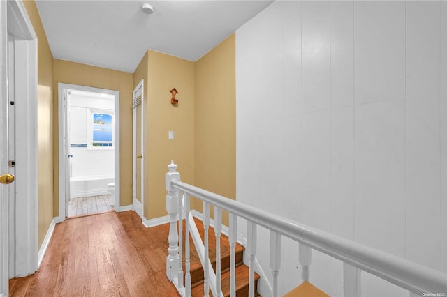 hallway featuring hardwood / wood-style floors