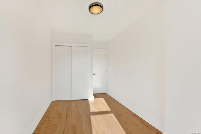 interior space featuring wood-type flooring and a closet