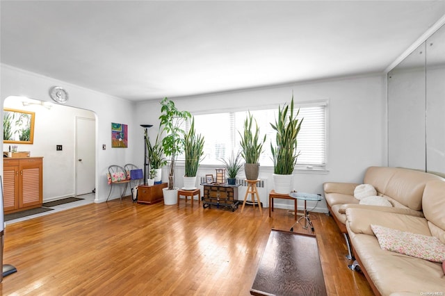 living room featuring radiator heating unit, ornamental molding, and hardwood / wood-style flooring