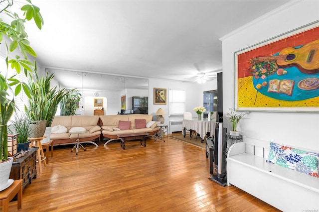 living room featuring wood-type flooring, ceiling fan, and radiator