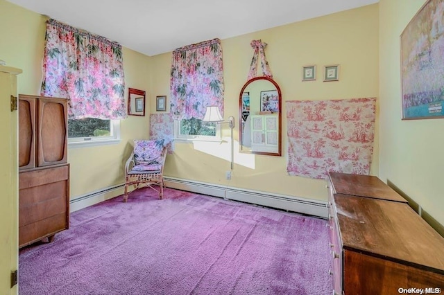 529 Birch Hollow Dr, Shirley, NY 11967 - living area featuring carpet flooring and a baseboard radiator