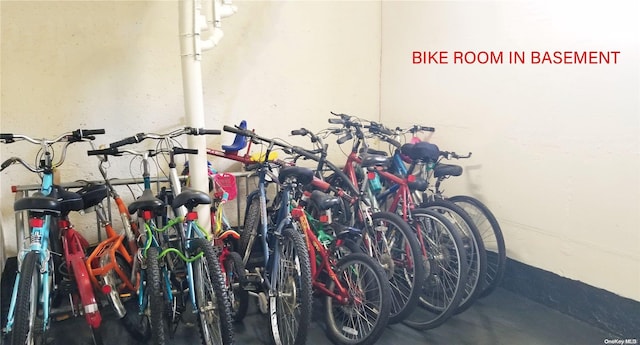 garage with bike storage