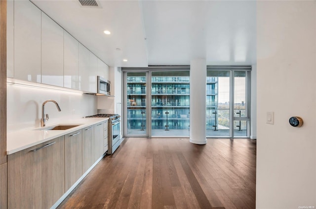 kitchen with floor to ceiling windows, sink, stainless steel appliances, and wood-type flooring