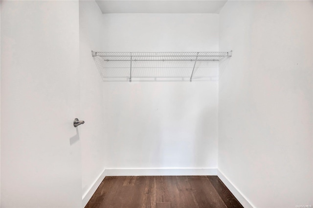 walk in closet featuring dark hardwood / wood-style floors