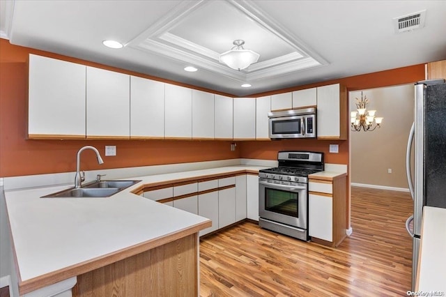 kitchen with kitchen peninsula, stainless steel appliances, a tray ceiling, and sink