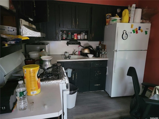 kitchen featuring sink, white fridge, and dark wood-type flooring