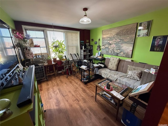 living room with hardwood / wood-style flooring