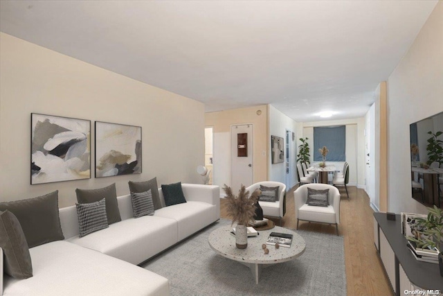 living room featuring light hardwood / wood-style floors