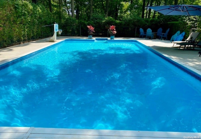 view of pool with a patio area