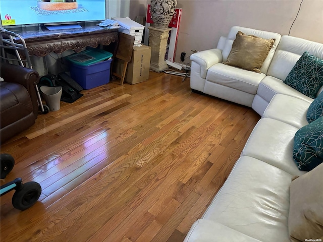 living room featuring light hardwood / wood-style flooring