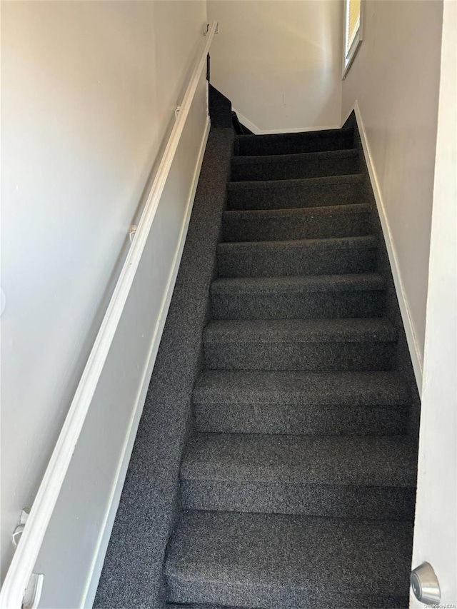 stairway featuring carpet