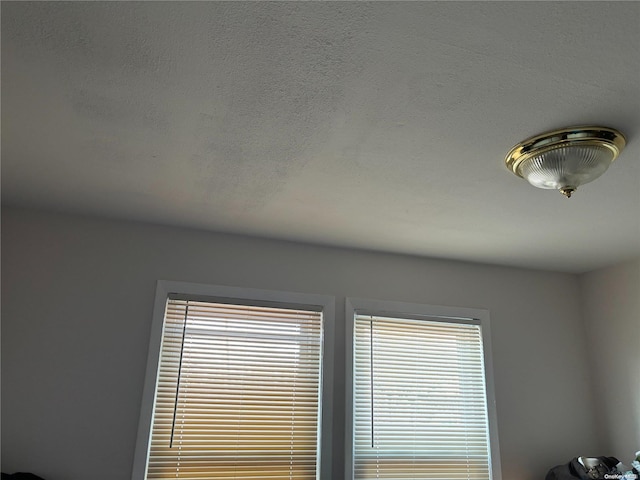 interior details featuring a textured ceiling