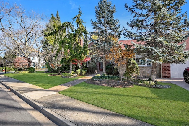 view of property hidden behind natural elements featuring a front yard and stone siding