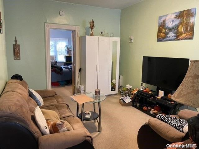 living room featuring carpet floors