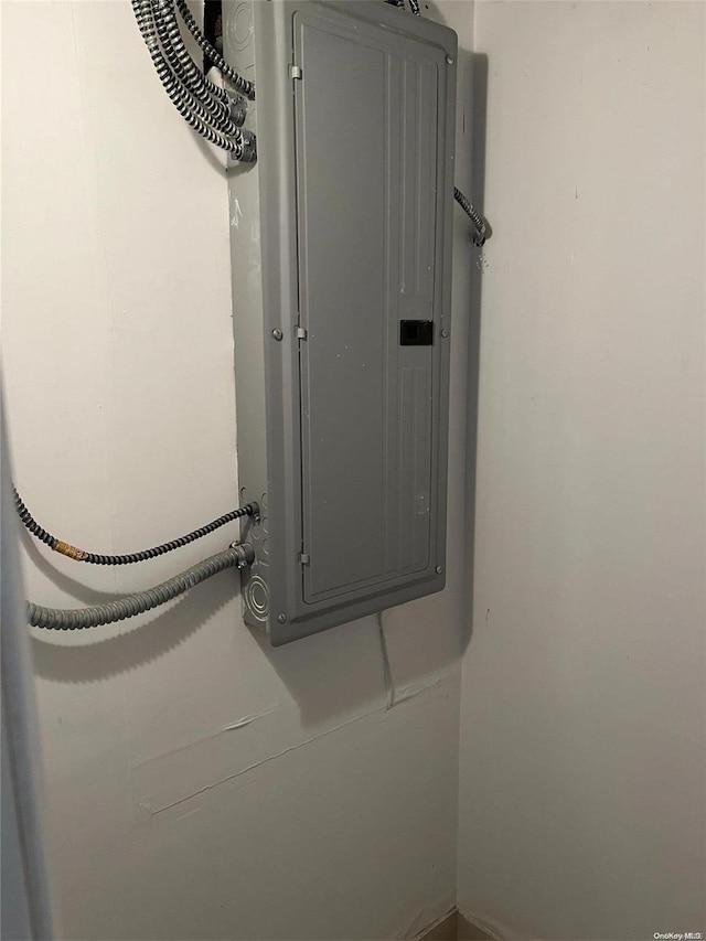 utility room with electric panel