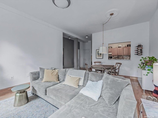 living room with light hardwood / wood-style flooring