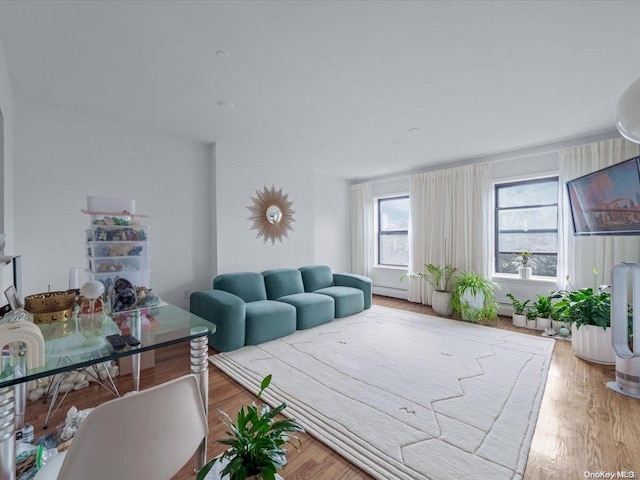 living room featuring wood-type flooring