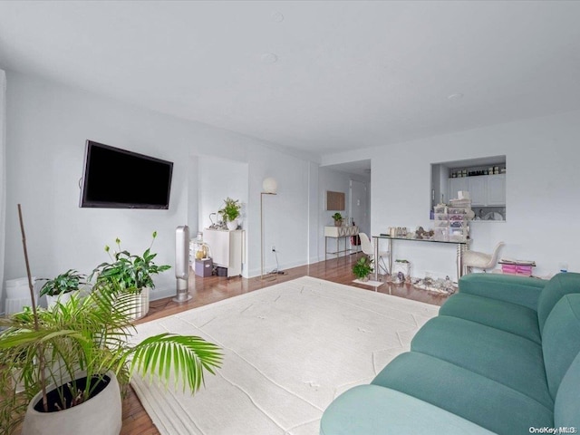 living room with wood-type flooring