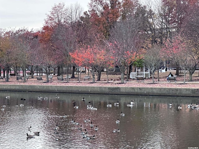 view of community featuring a water view