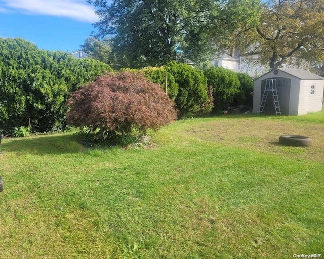 view of yard featuring a storage unit