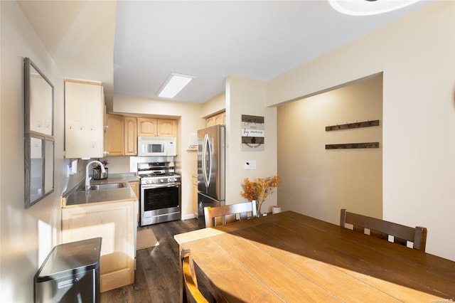 kitchen featuring sink, light brown cabinets, dark hardwood / wood-style flooring, and stainless steel appliances