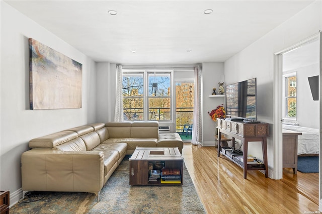 living room featuring hardwood / wood-style flooring