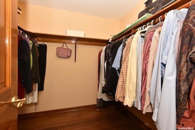 spacious closet featuring dark hardwood / wood-style floors