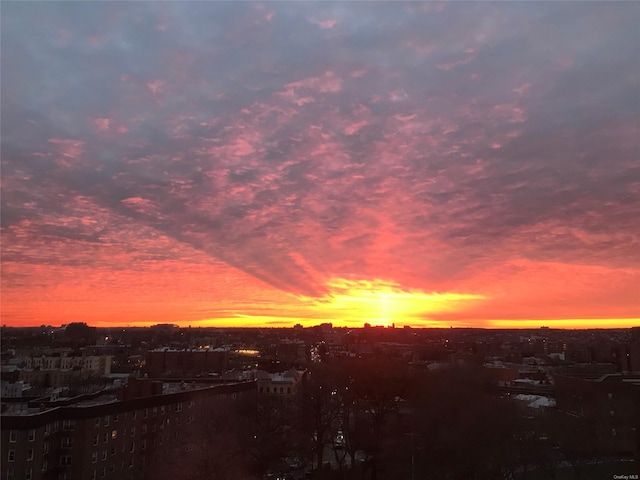 39-60 54th St Unit 9H, Woodside, NY 11377 - view of nature