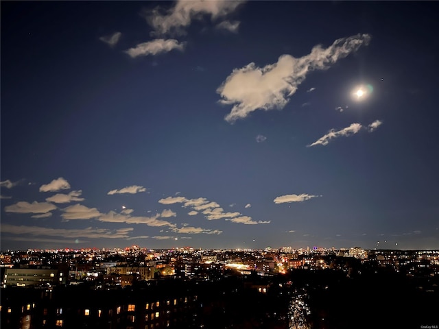 39-60 54th St Unit 9H, Woodside, NY 11377 - city view