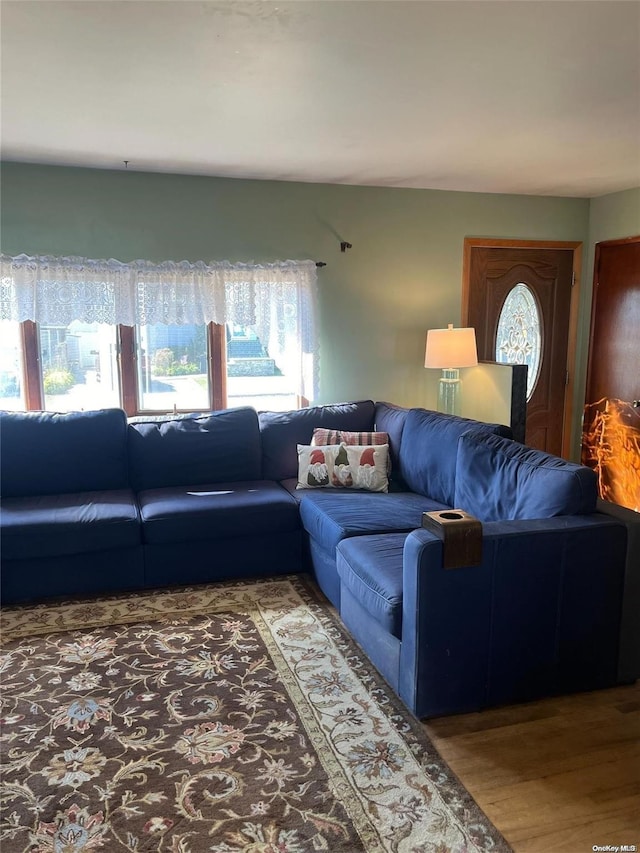 living room with hardwood / wood-style flooring and plenty of natural light