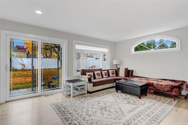 living room with hardwood / wood-style flooring