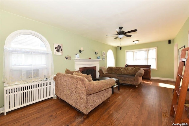 living room featuring radiator, dark wood-type flooring, and ceiling fan