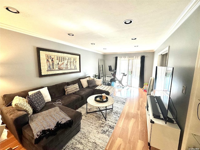 living room with hardwood / wood-style floors and ornamental molding