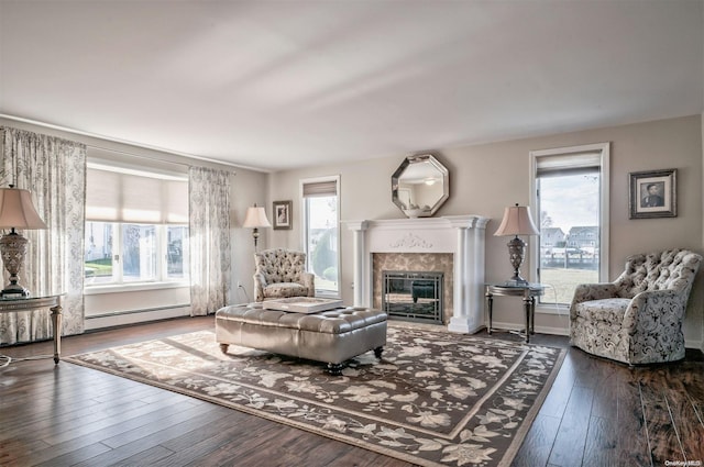 living room featuring dark hardwood / wood-style floors, a baseboard radiator, and plenty of natural light