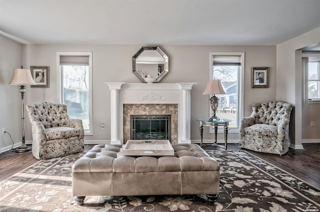 living room featuring a fireplace, wood-type flooring, and a wealth of natural light