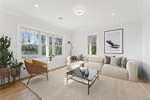 living room featuring light hardwood / wood-style floors and ornamental molding