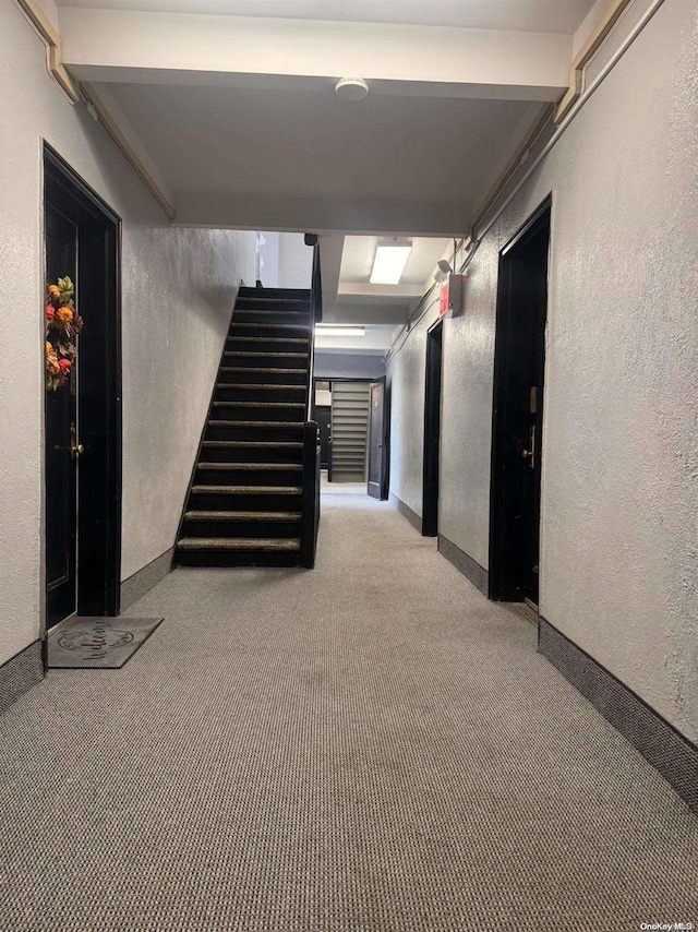 basement featuring light carpet