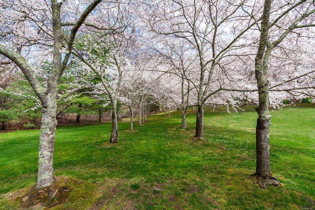 660 Chicken Valley Rd, Matinecock, NY 11560 - view of green lawn