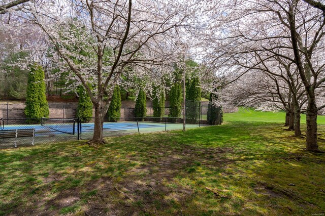 660 Chicken Valley Rd, Matinecock, NY 11560 - view of yard with a tennis court