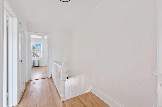 hall with radiator heating unit, light hardwood / wood-style floors, and ornamental molding