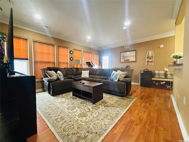 living room with wood-type flooring and ornamental molding