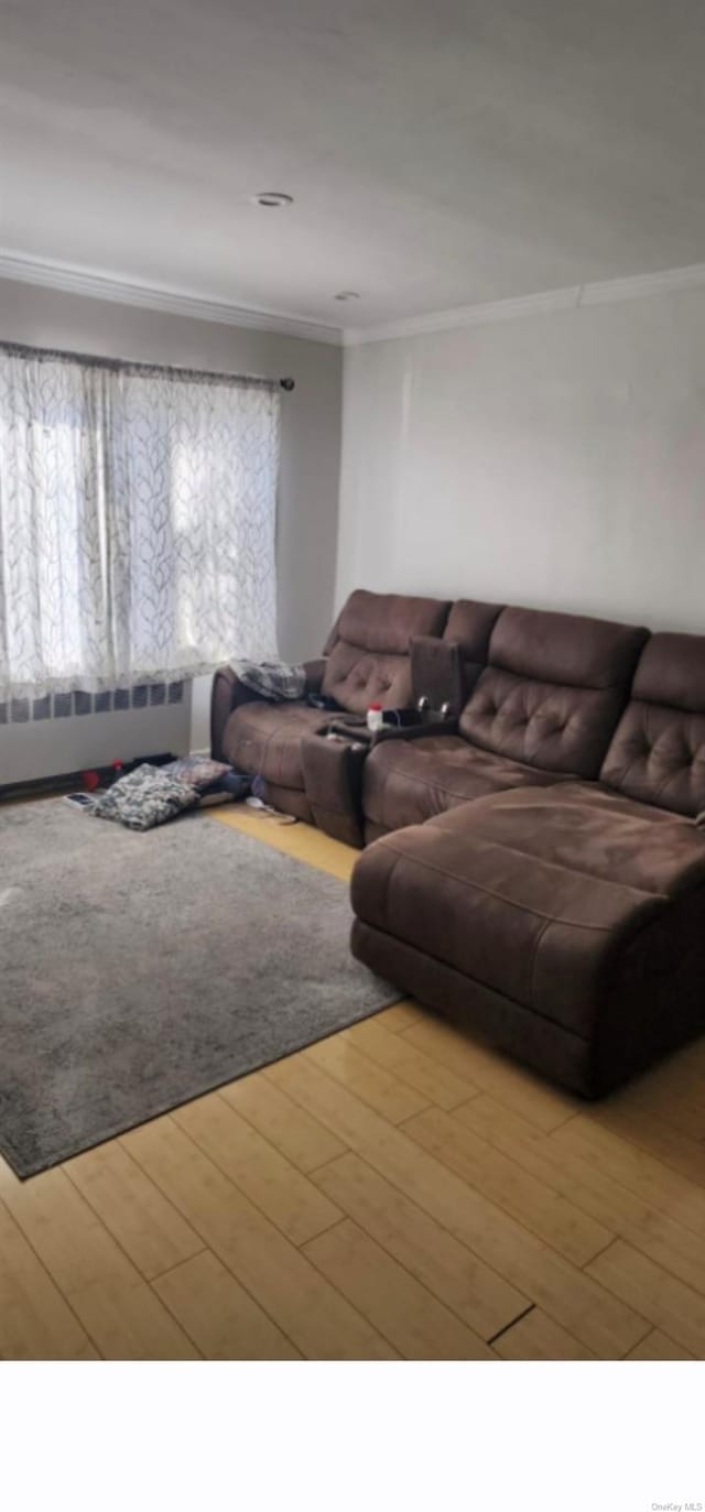 living room featuring light hardwood / wood-style flooring, ornamental molding, and radiator heating unit