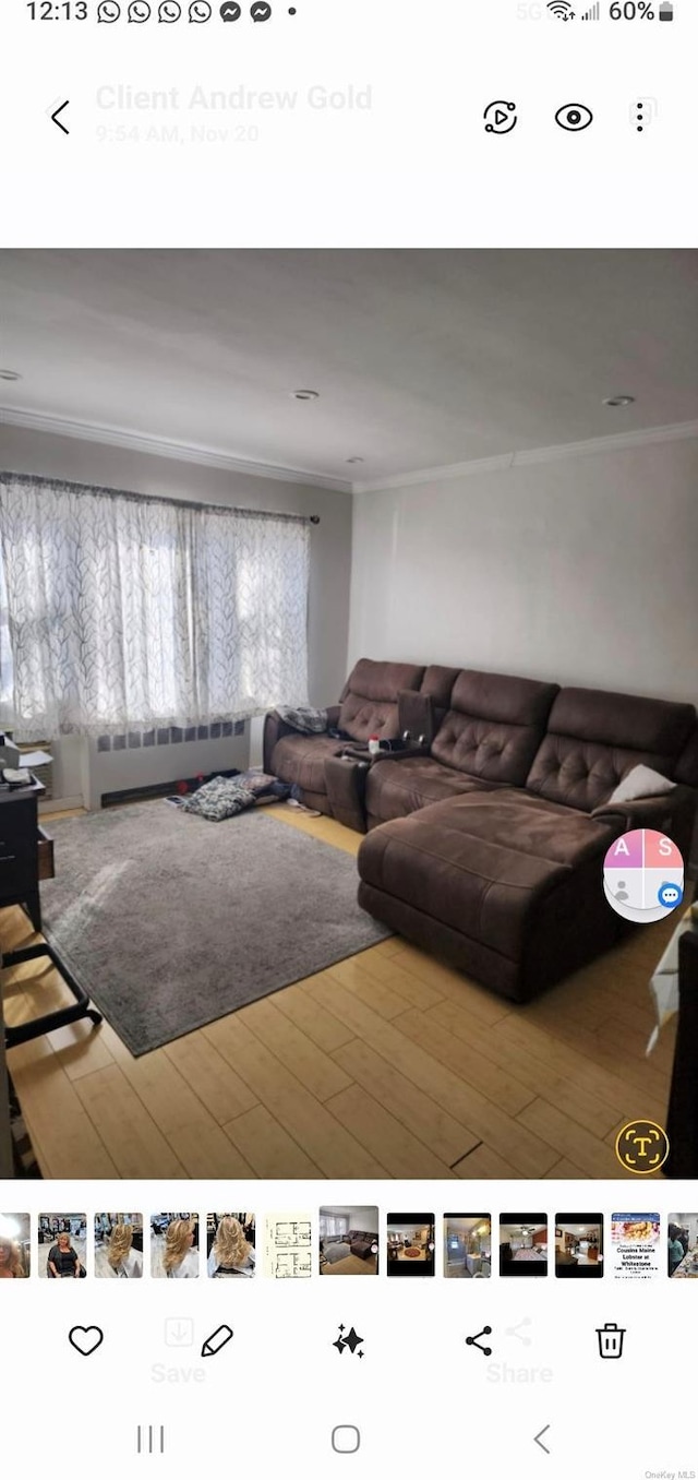 living room featuring radiator, crown molding, and wood-type flooring