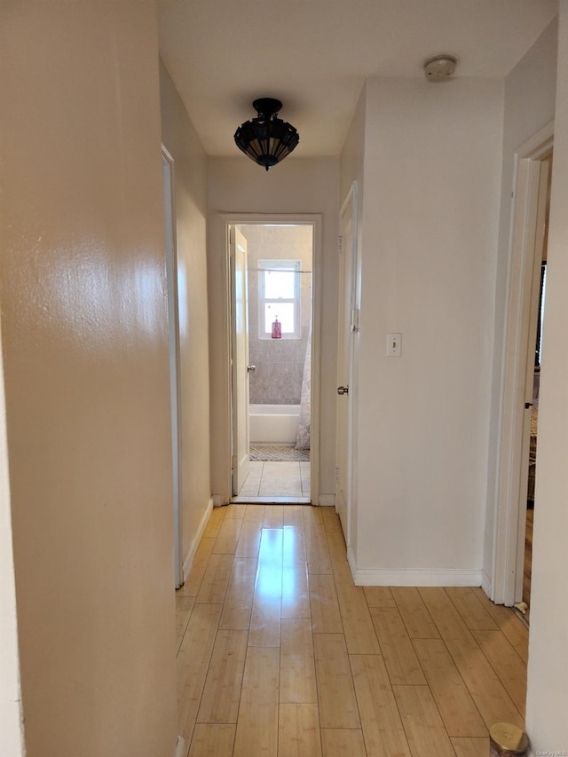 hall featuring light hardwood / wood-style floors