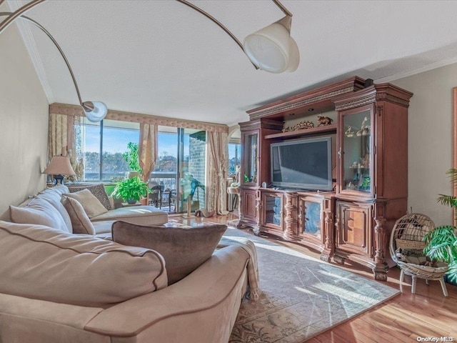 living room featuring light hardwood / wood-style floors and crown molding