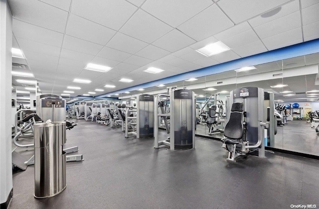 workout area featuring a paneled ceiling