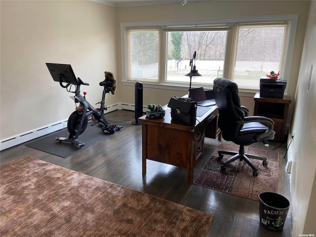 office space featuring dark hardwood / wood-style floors