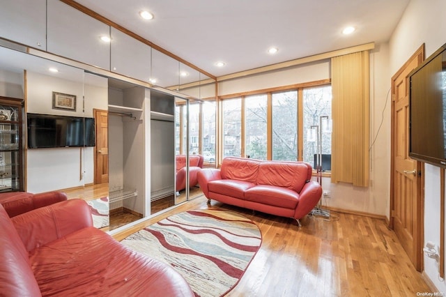 living room featuring light hardwood / wood-style flooring