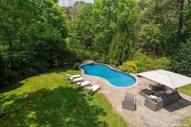 view of swimming pool with a lawn and a patio area